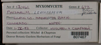 Image Associated With the Occurence
